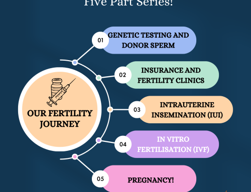 Our Fertility Journey Part 4: IVF