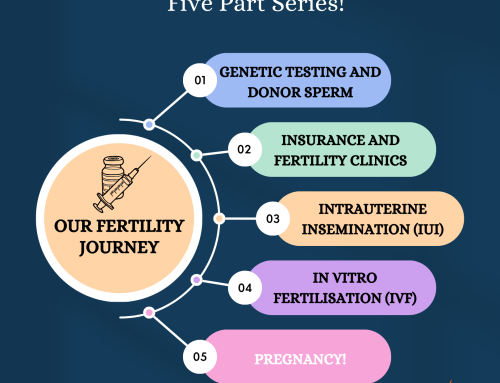 Our Fertility Journey: Pregnancy!